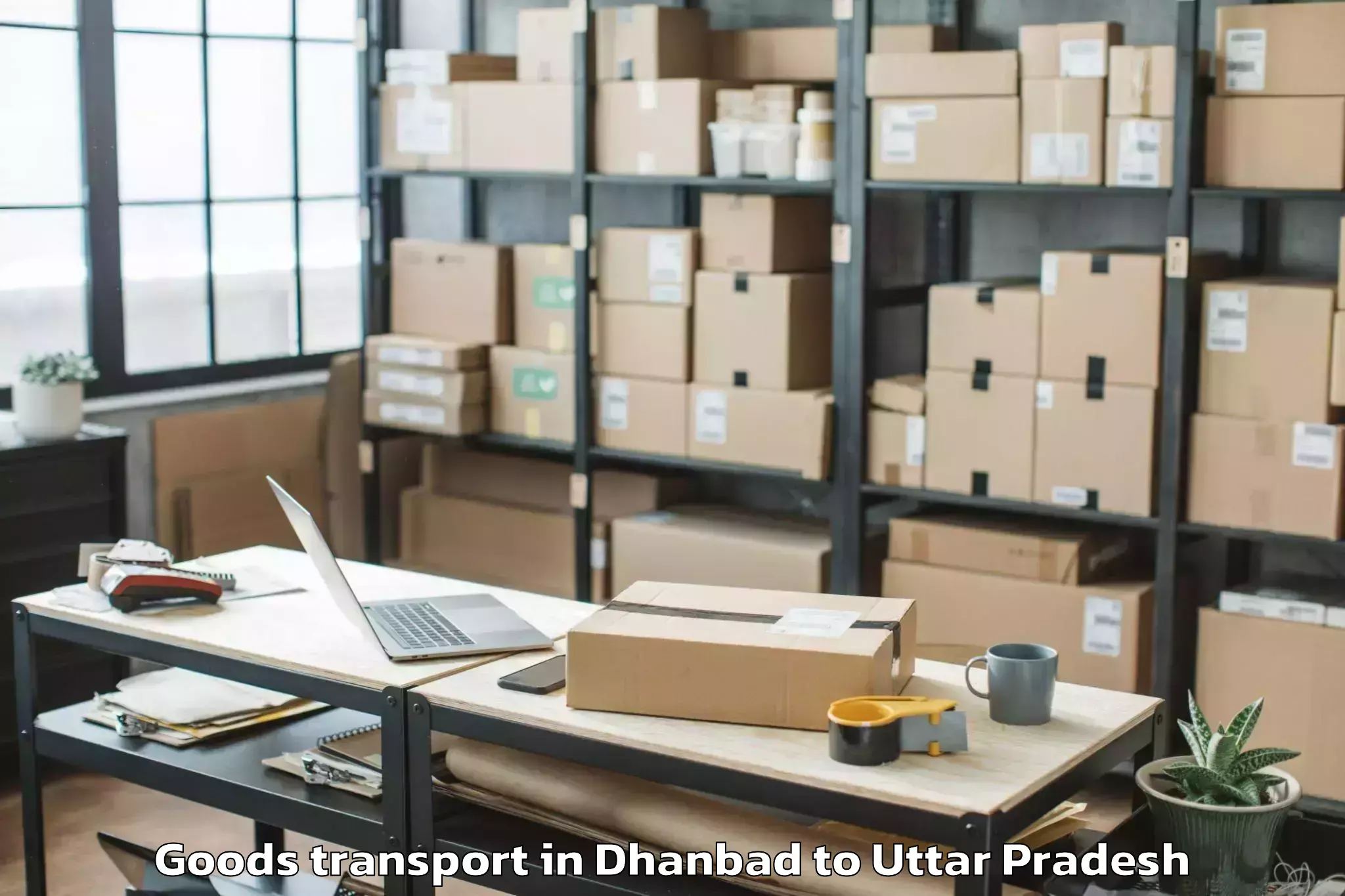 Book Dhanbad to Mauranipur Goods Transport Online